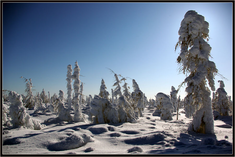 Белое безмолвие