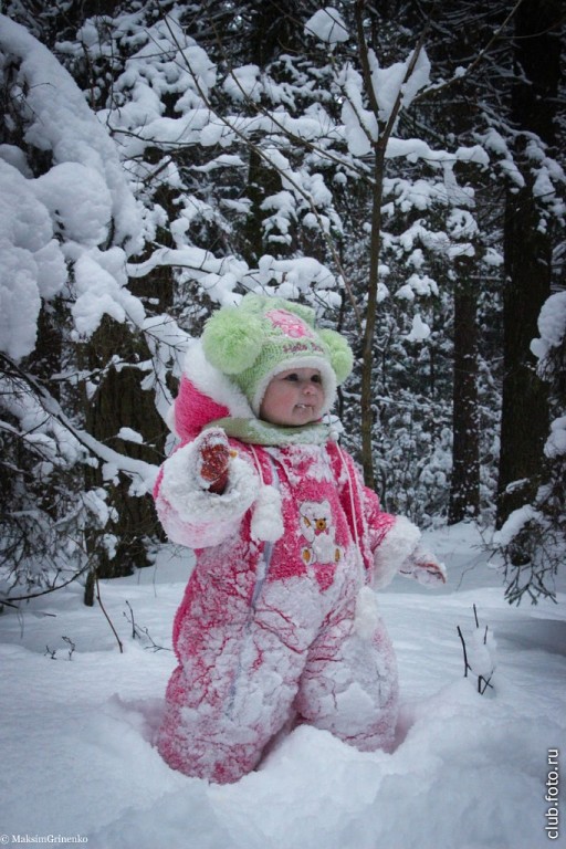 Прогулка в лесу