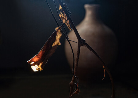 Без названия