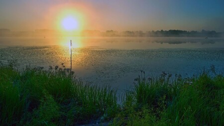 Посох Сарумана