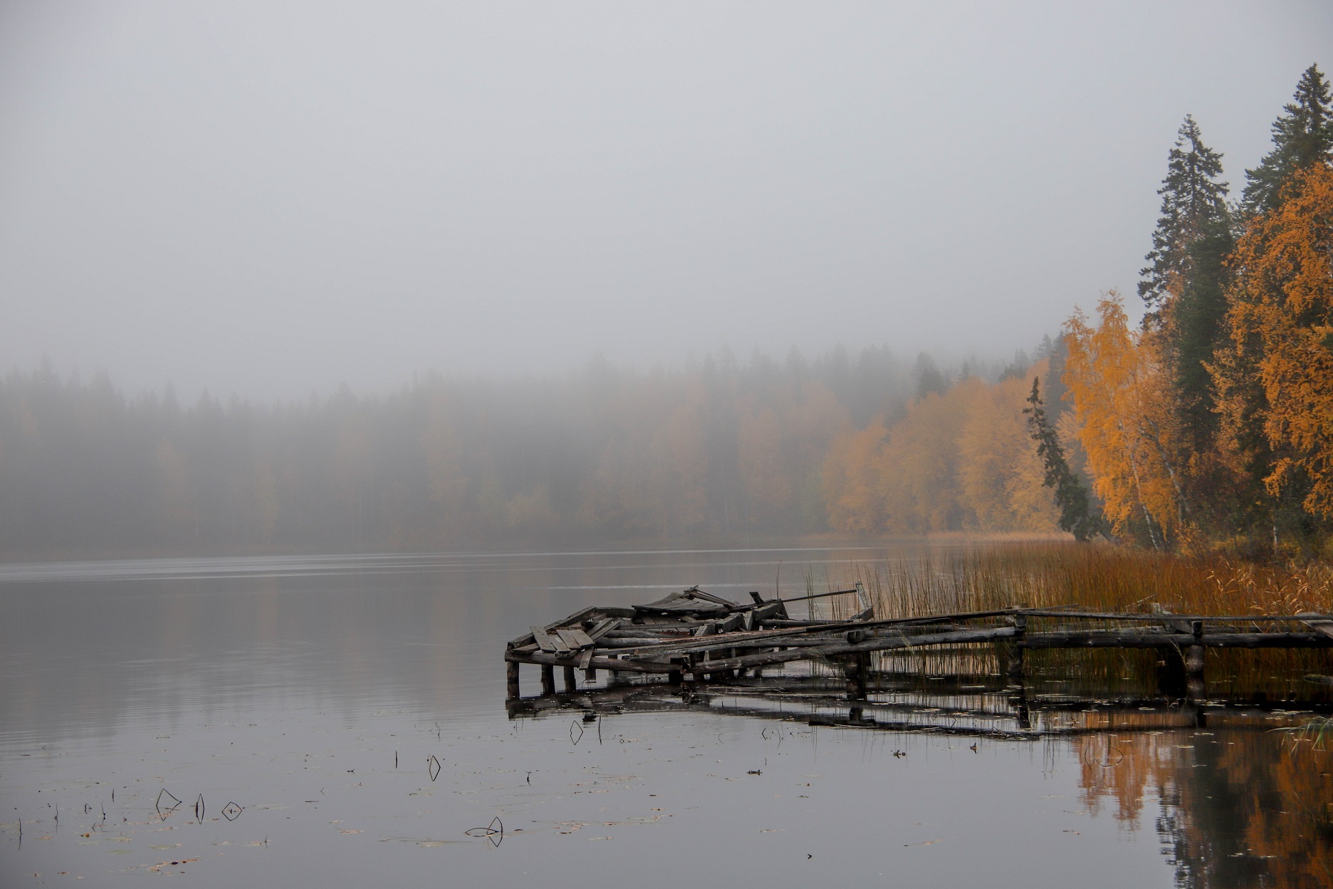 осень на озере 