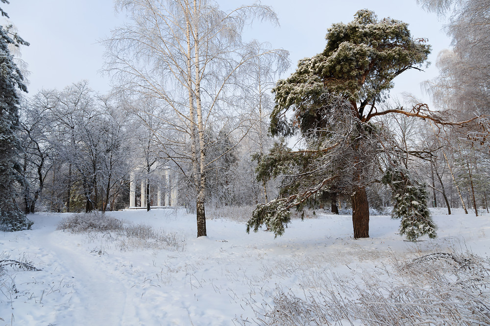 Зима в городском парке