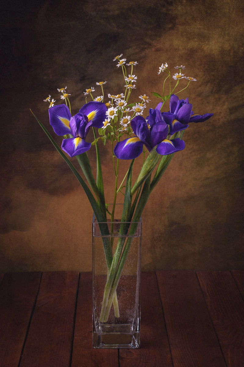 Ирисы/Irises