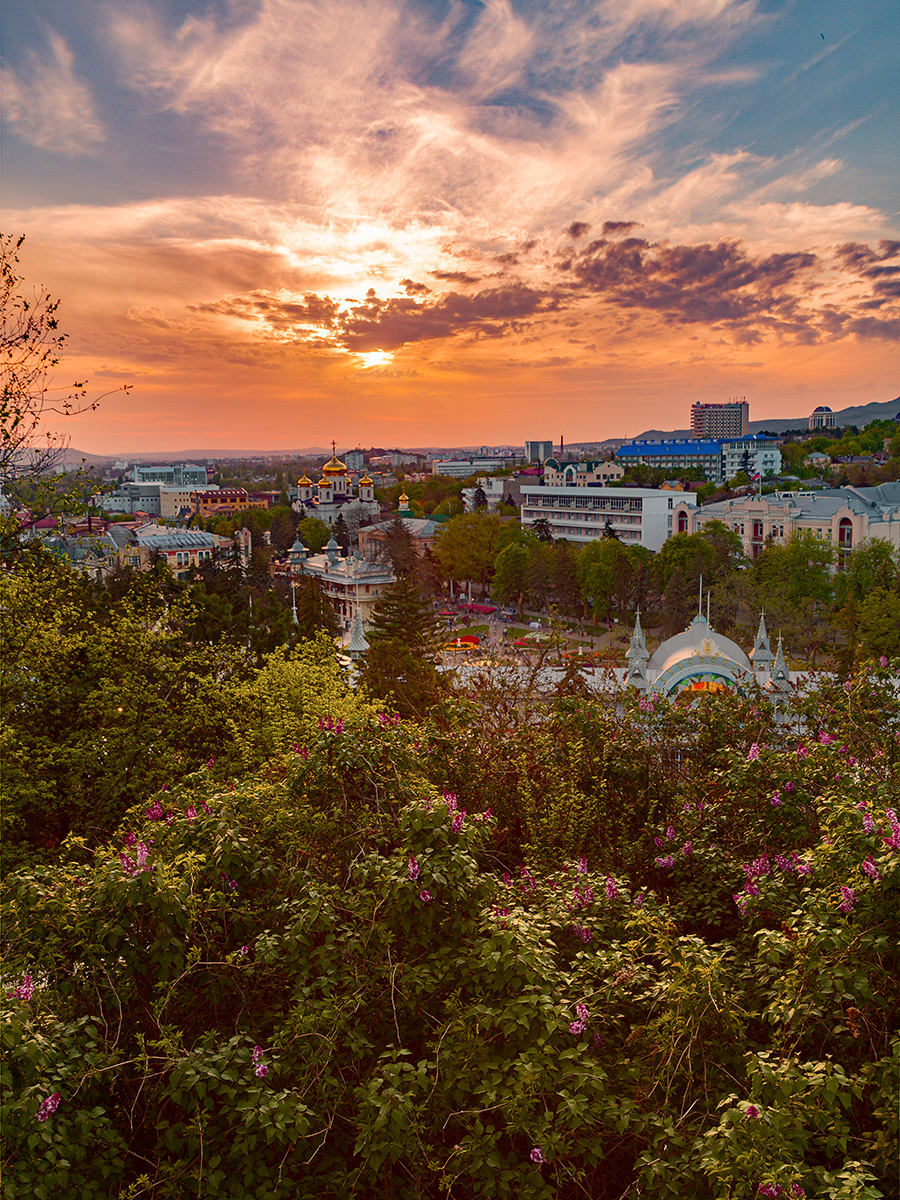 Город в сирени.