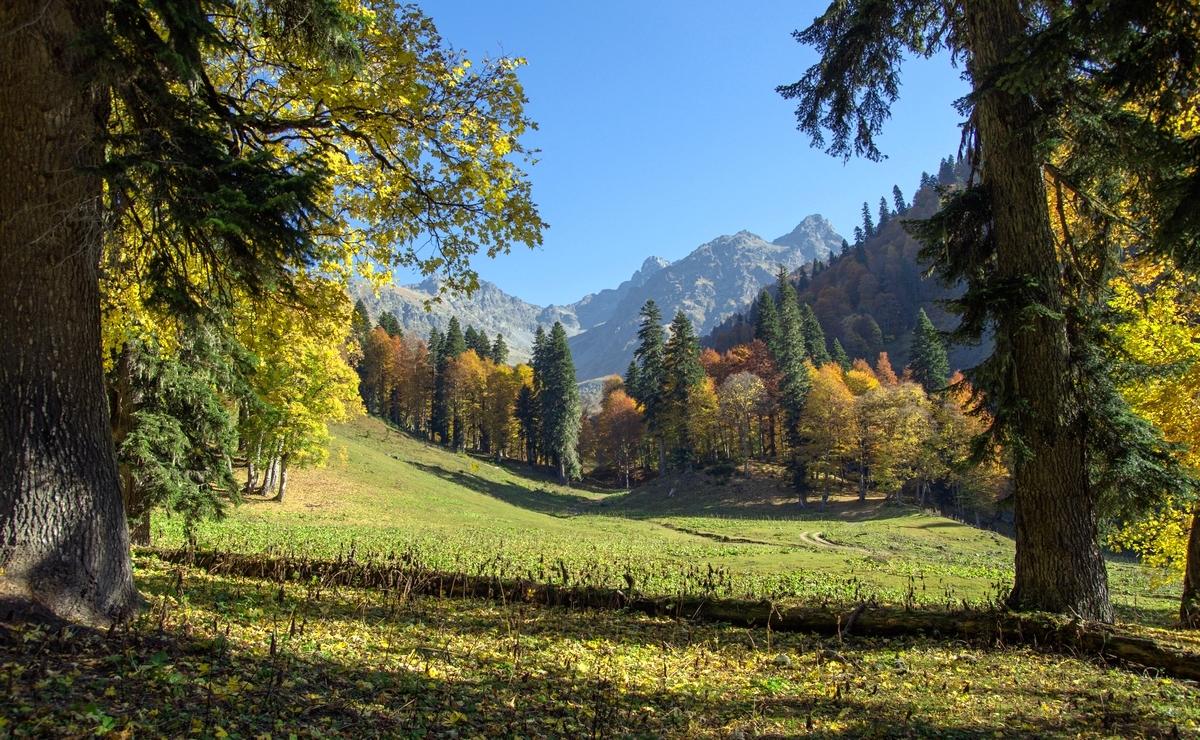 Осень в горах...