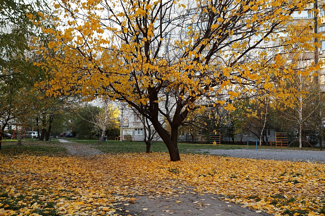 Во дворе.