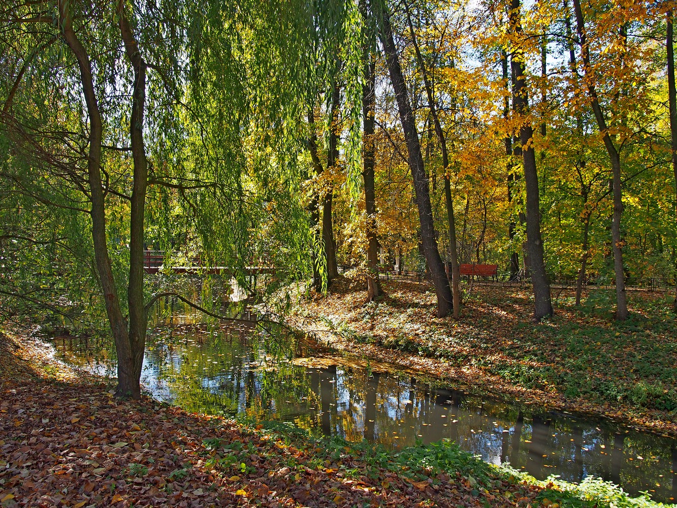 Кузьминский парк