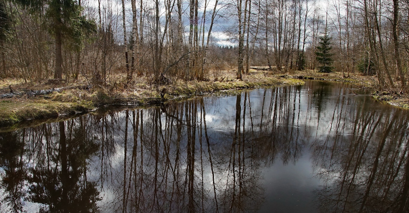 Половодье