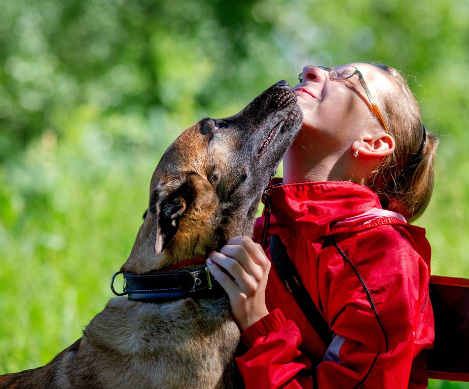 Собачьи нежности