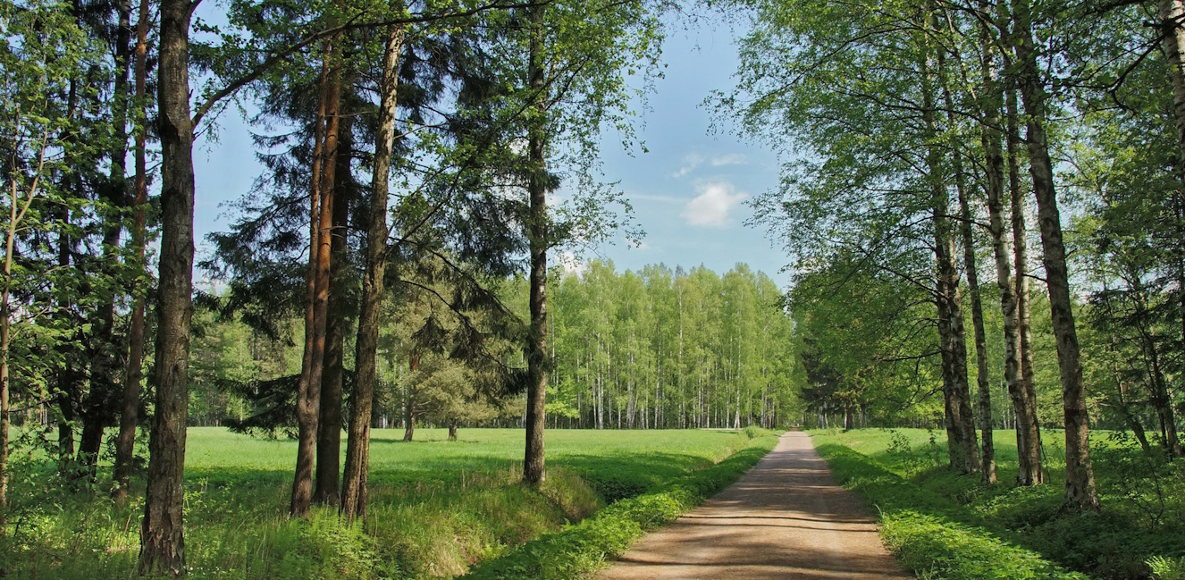 Гуляем в Павловском парке