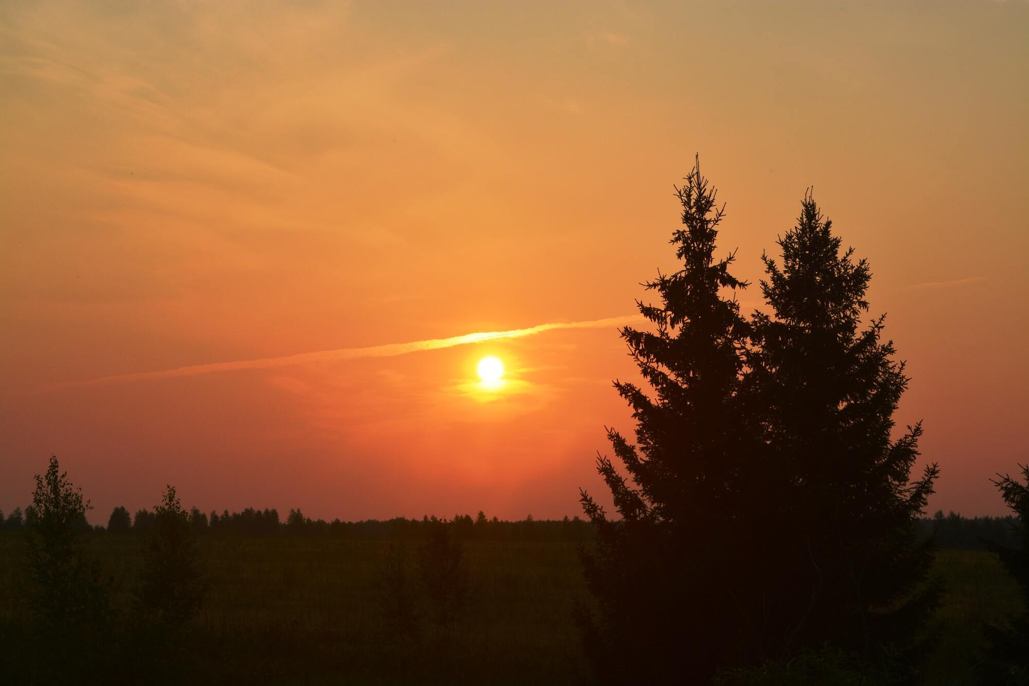 Закат в поле