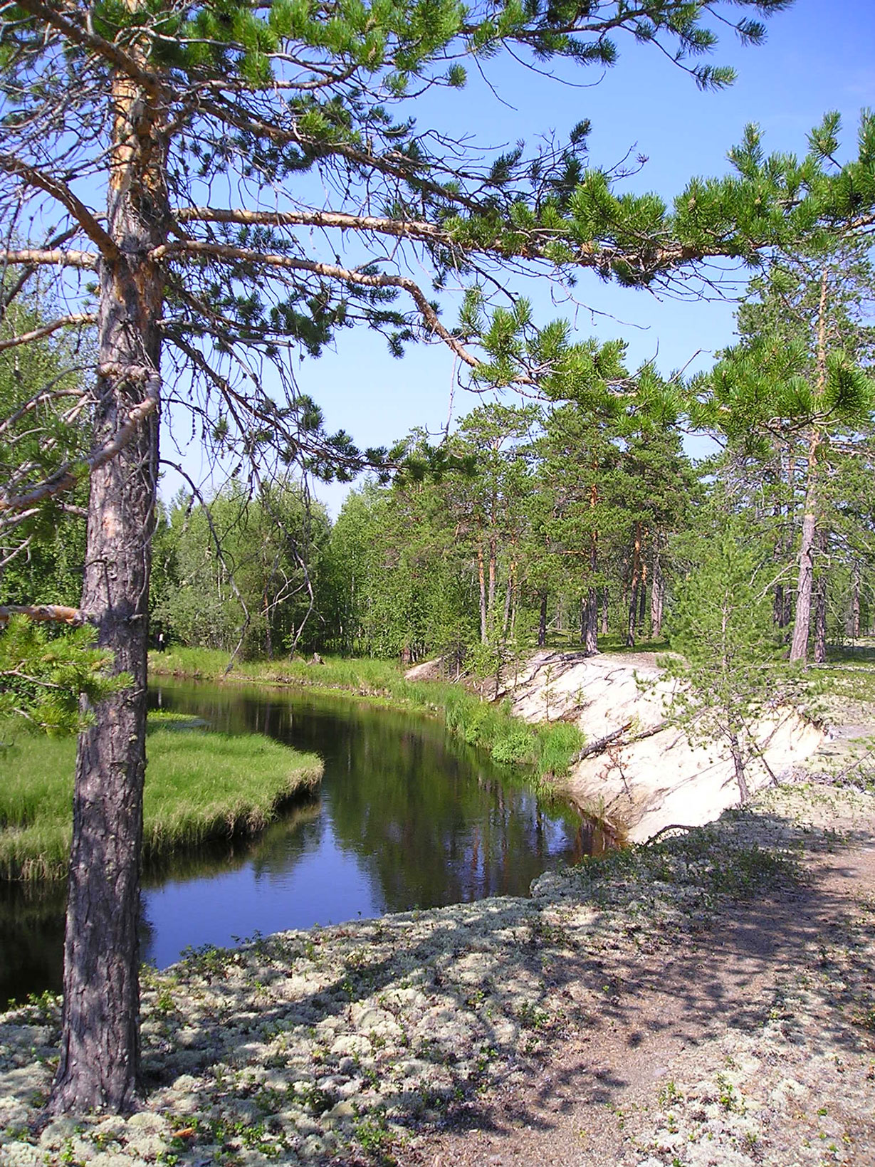 Реки Сибири.