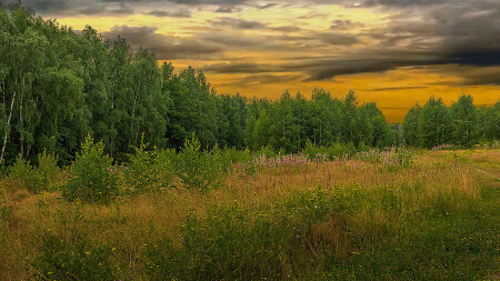 Природный парк Битца в Москве