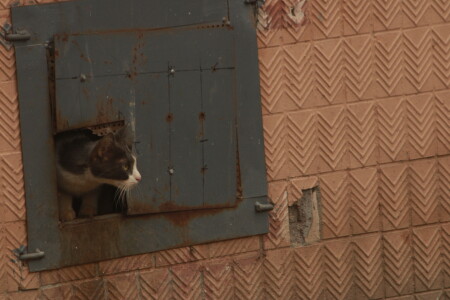 Осторожность