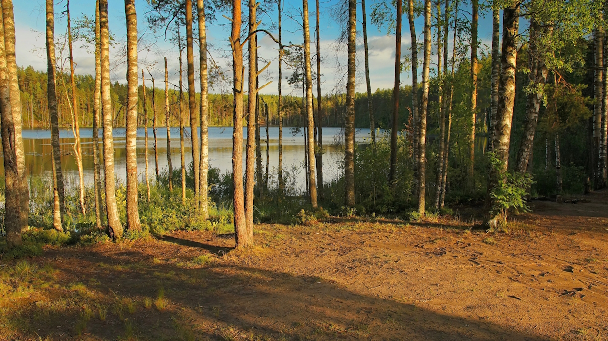 Перед вечернем купанием