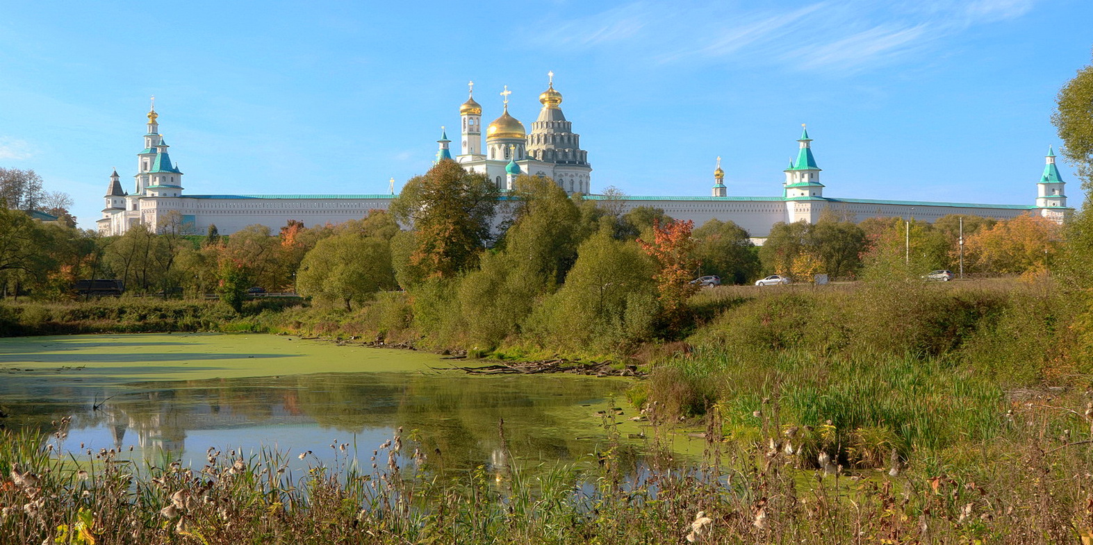 Подмосковные прогулки...