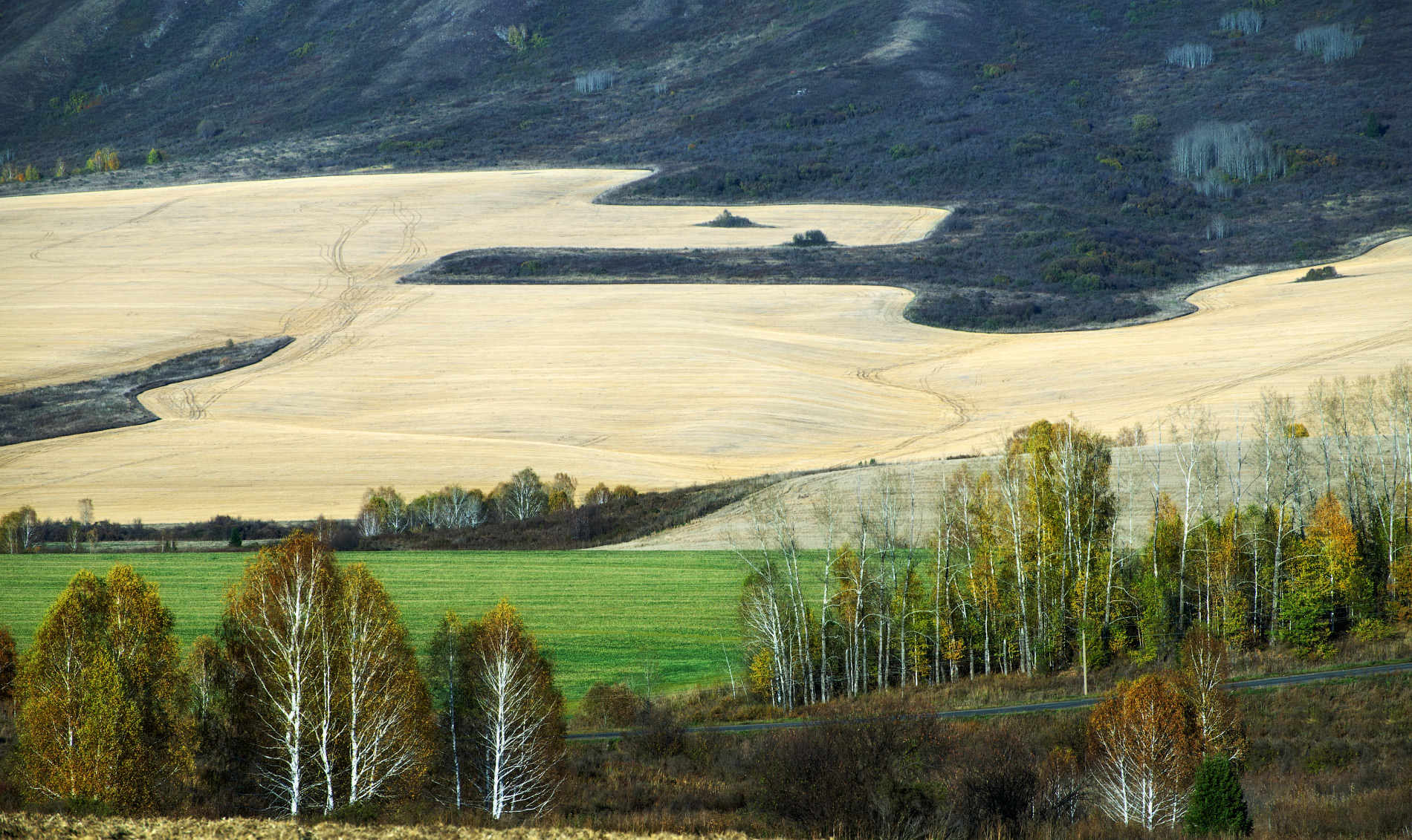 Осенняя