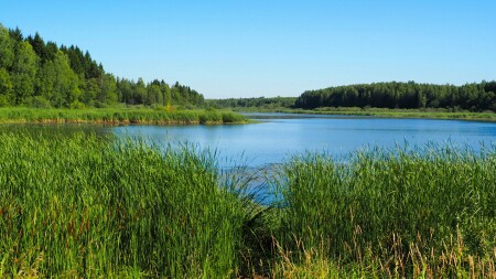 Природа Смоленщины