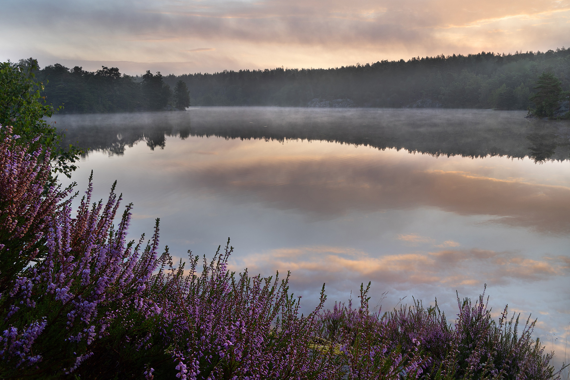 Söderbysjön