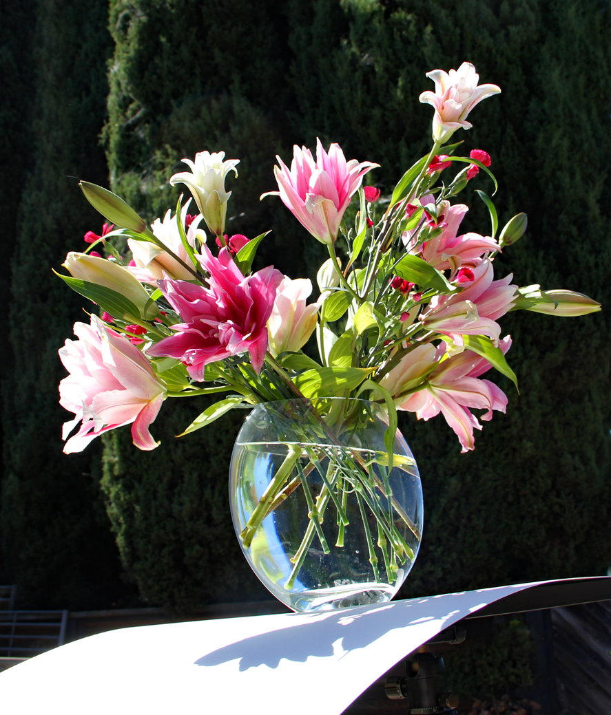 Flowers on a black background