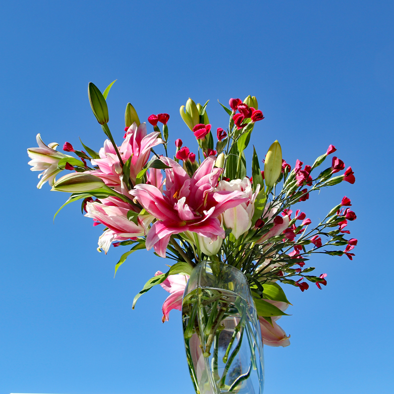 Flowers on a blue background