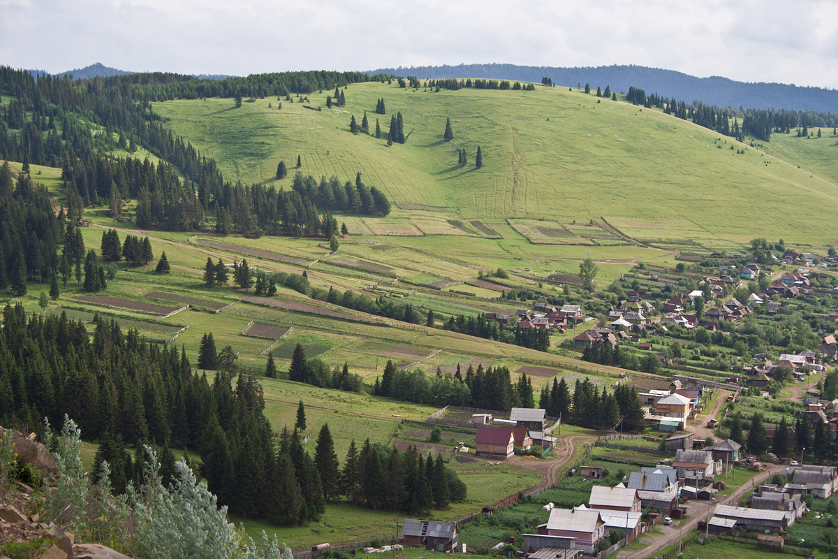 Гармония.