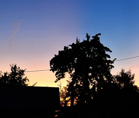  Августовский вечер