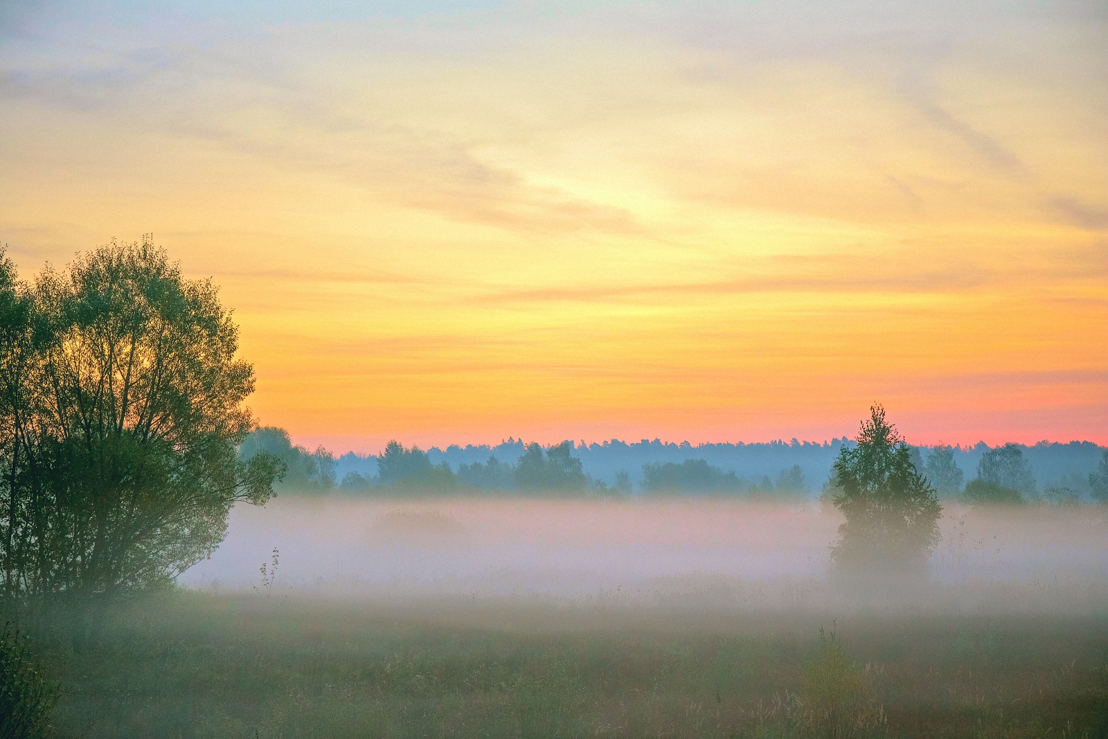 Палитра туманного рассвета