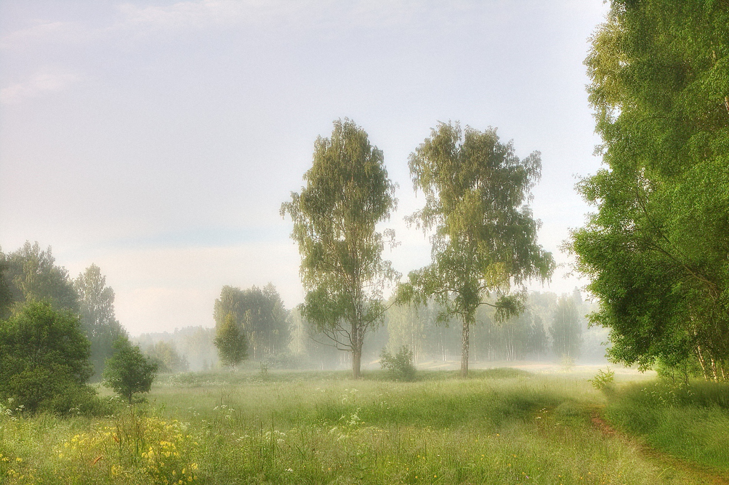 Раннее утро