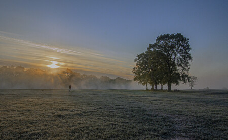 Утро на лугу