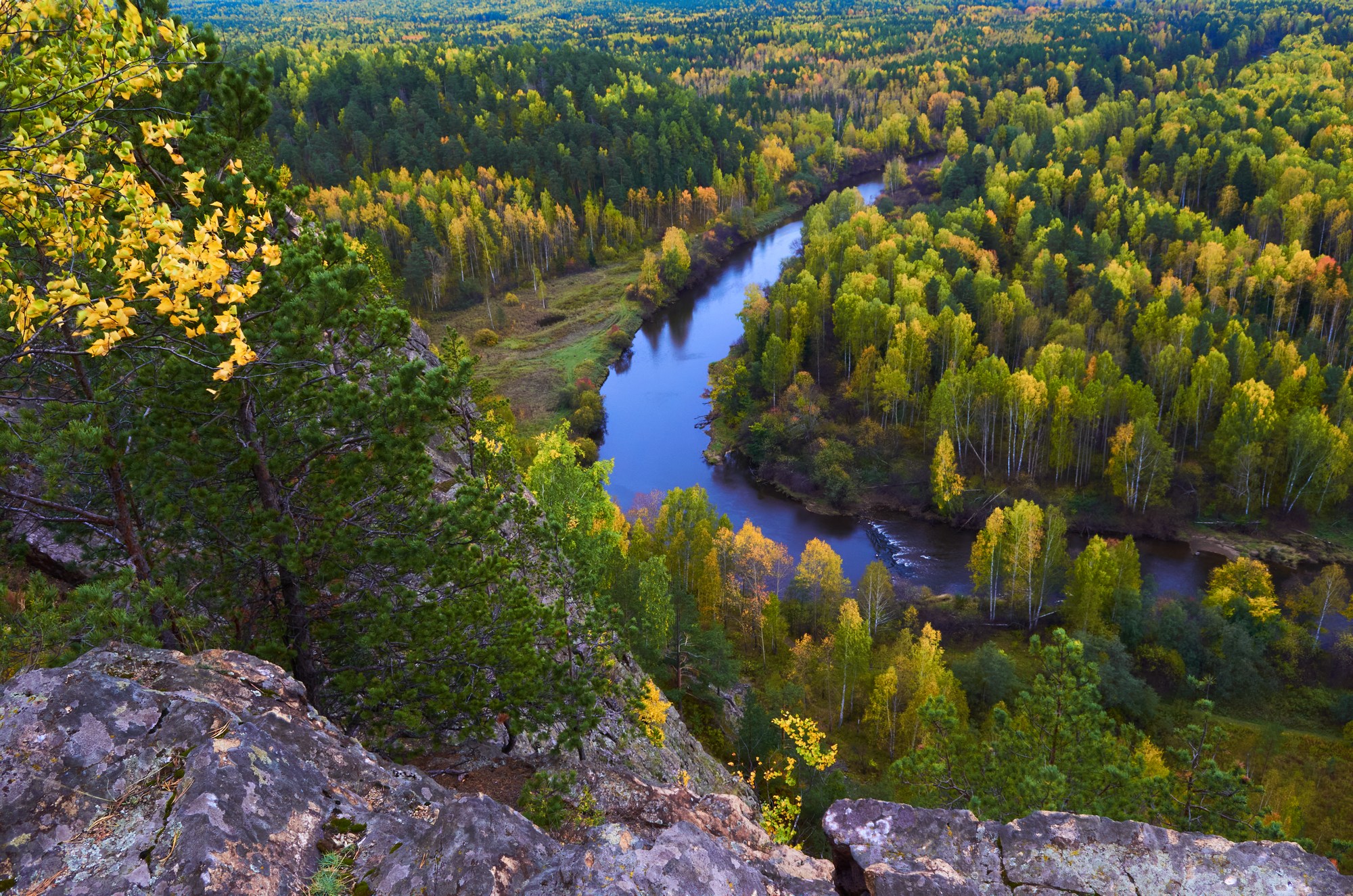 Осени первые дни.