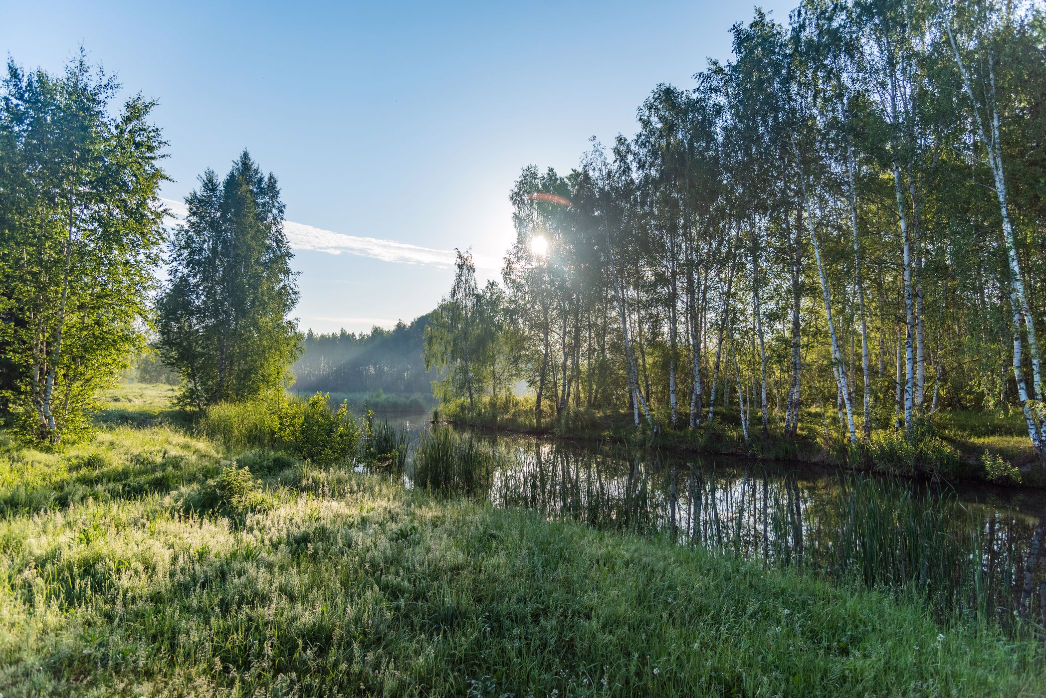 Утро у реки