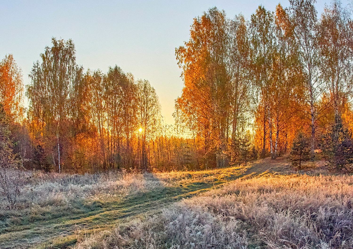 Первый заморозок