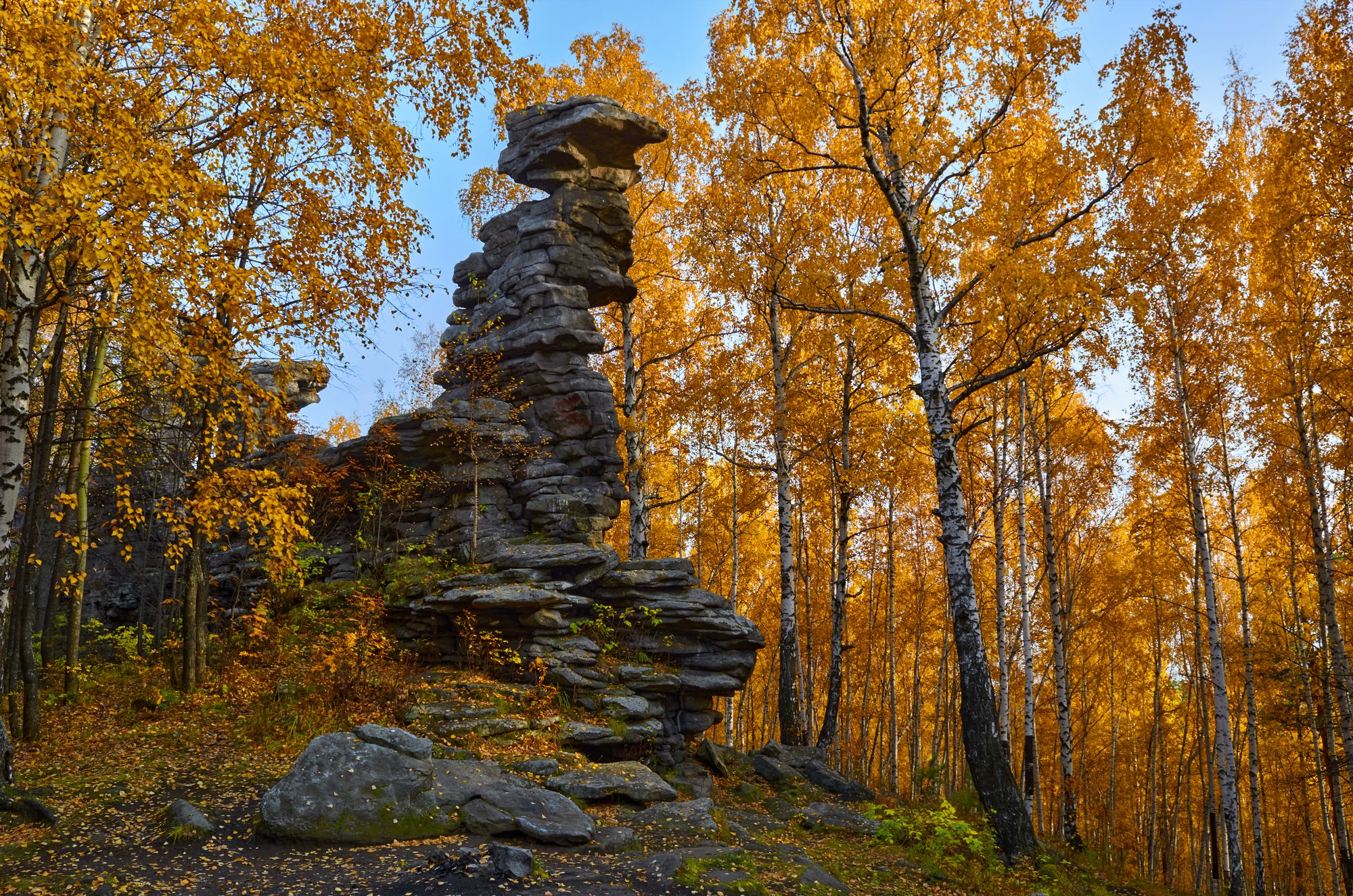 осенний сон.