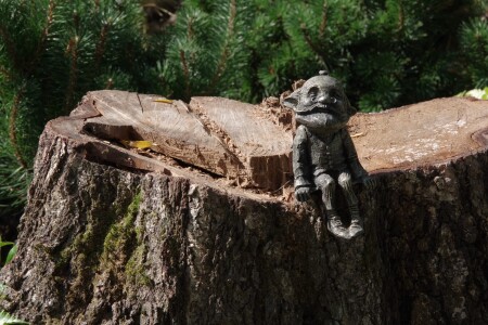 Хранитель леса