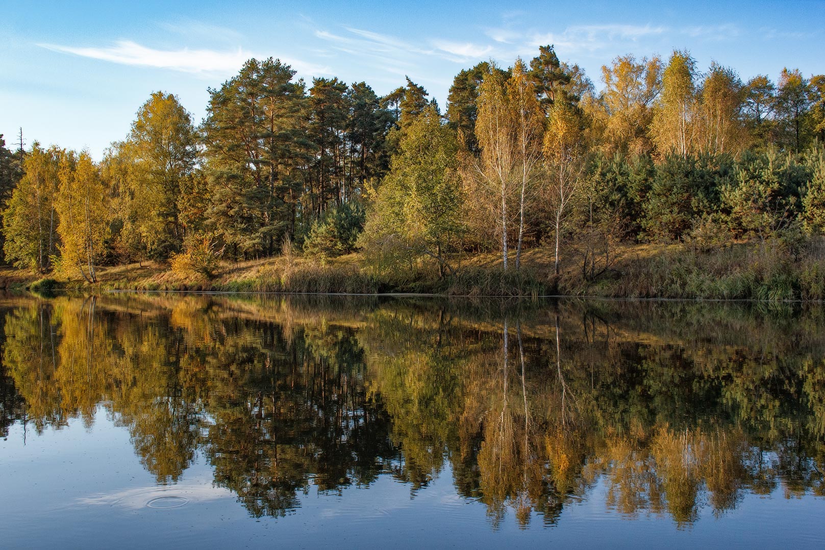 По берегу Свислочи