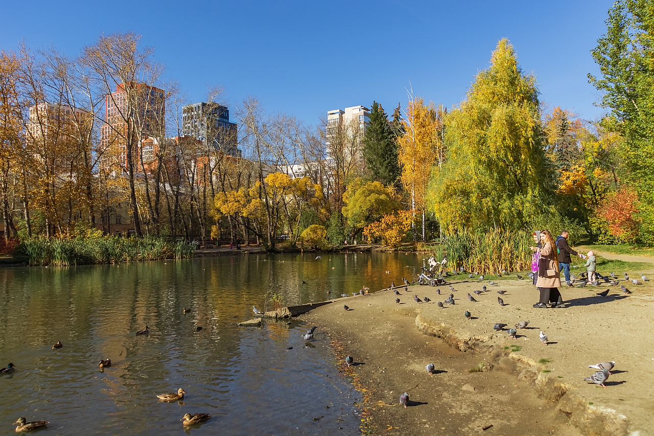 Фото. 2.10.2024.Екатеринбург.Золотая осень в Дендрарии на Мира