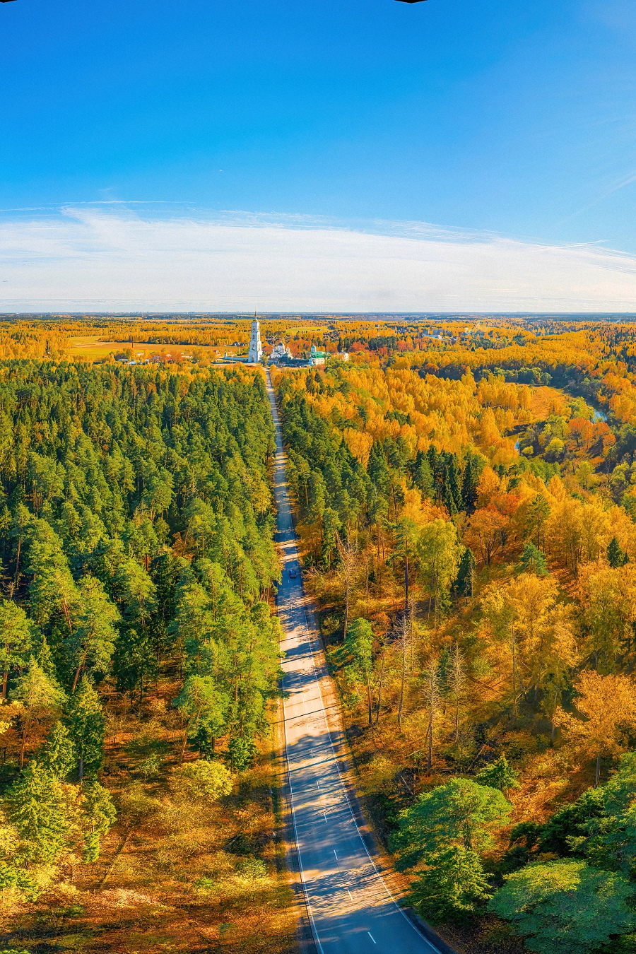 Осеннее разноцветье