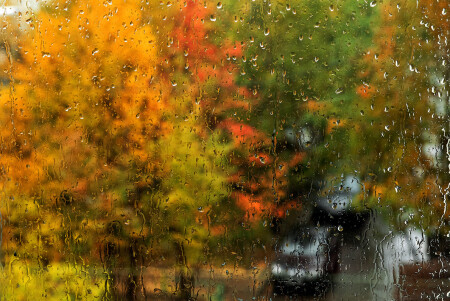 Осенний дождь