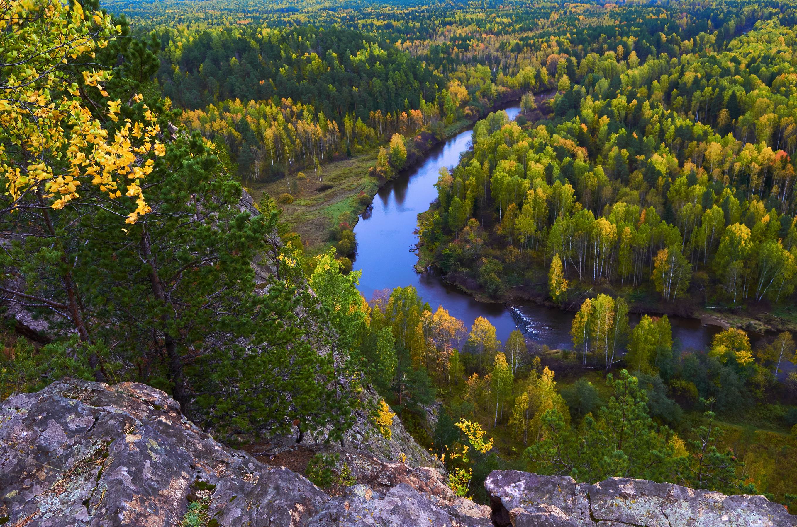 Осени первые дни.