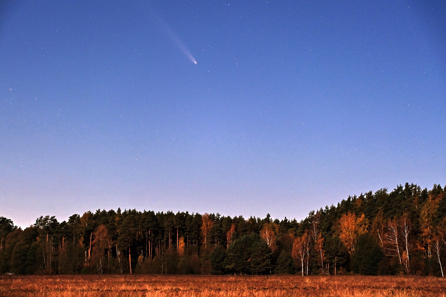 Комета Tsuchinshan 10.2024