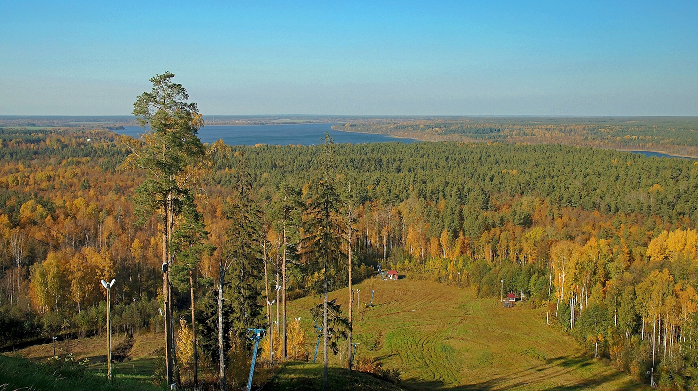 Лесные дали