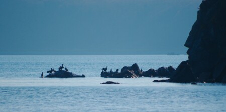 Скалы