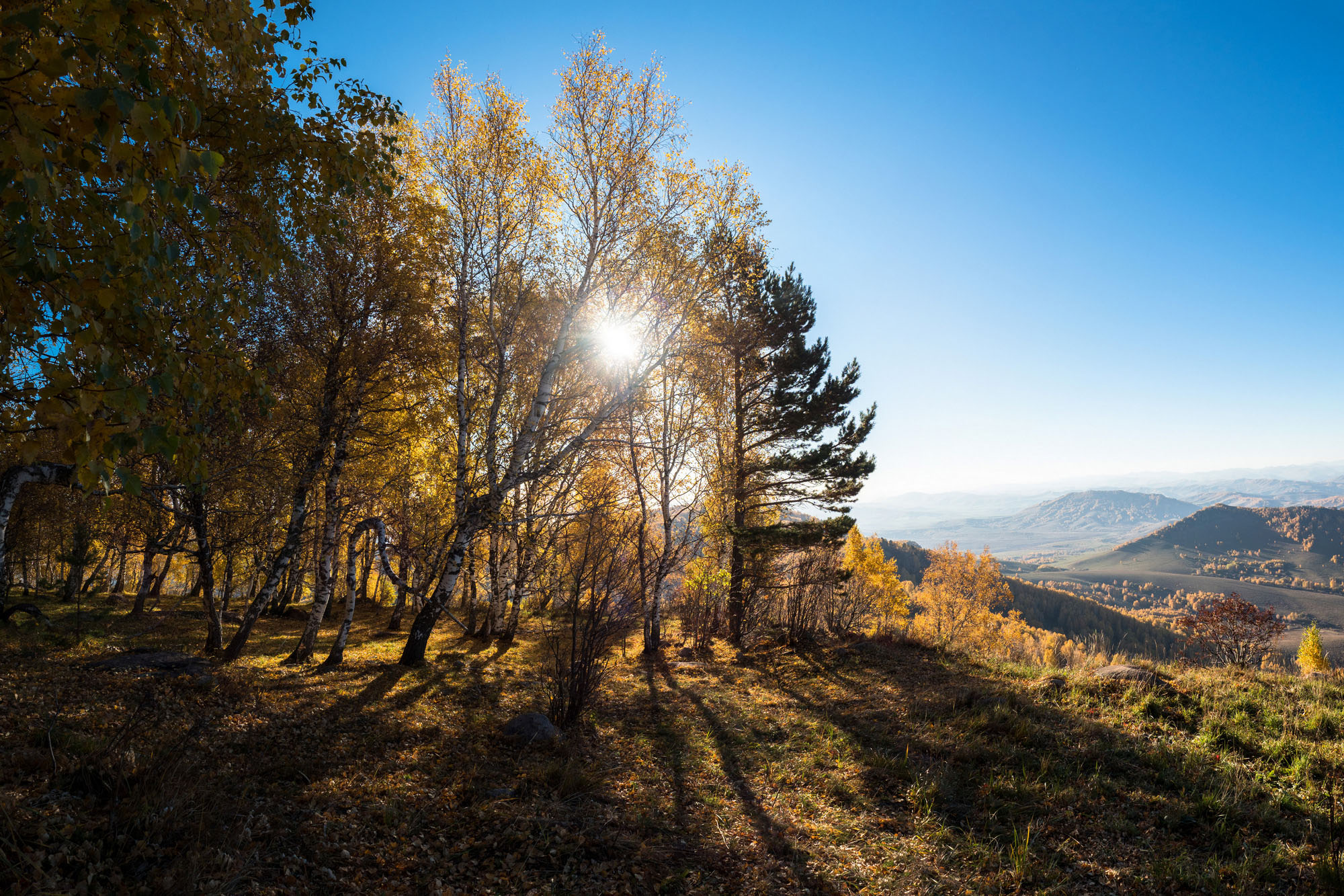 Осень