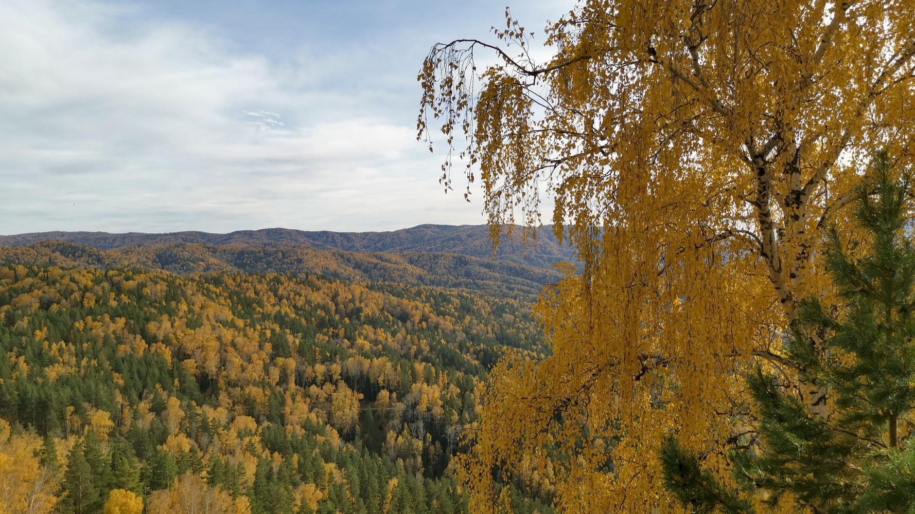 краски осени