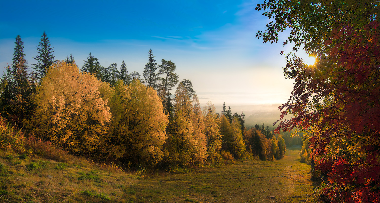 Желтая, красная осень