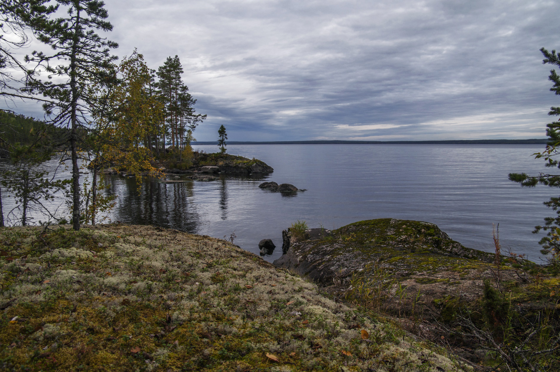 Онежский берег