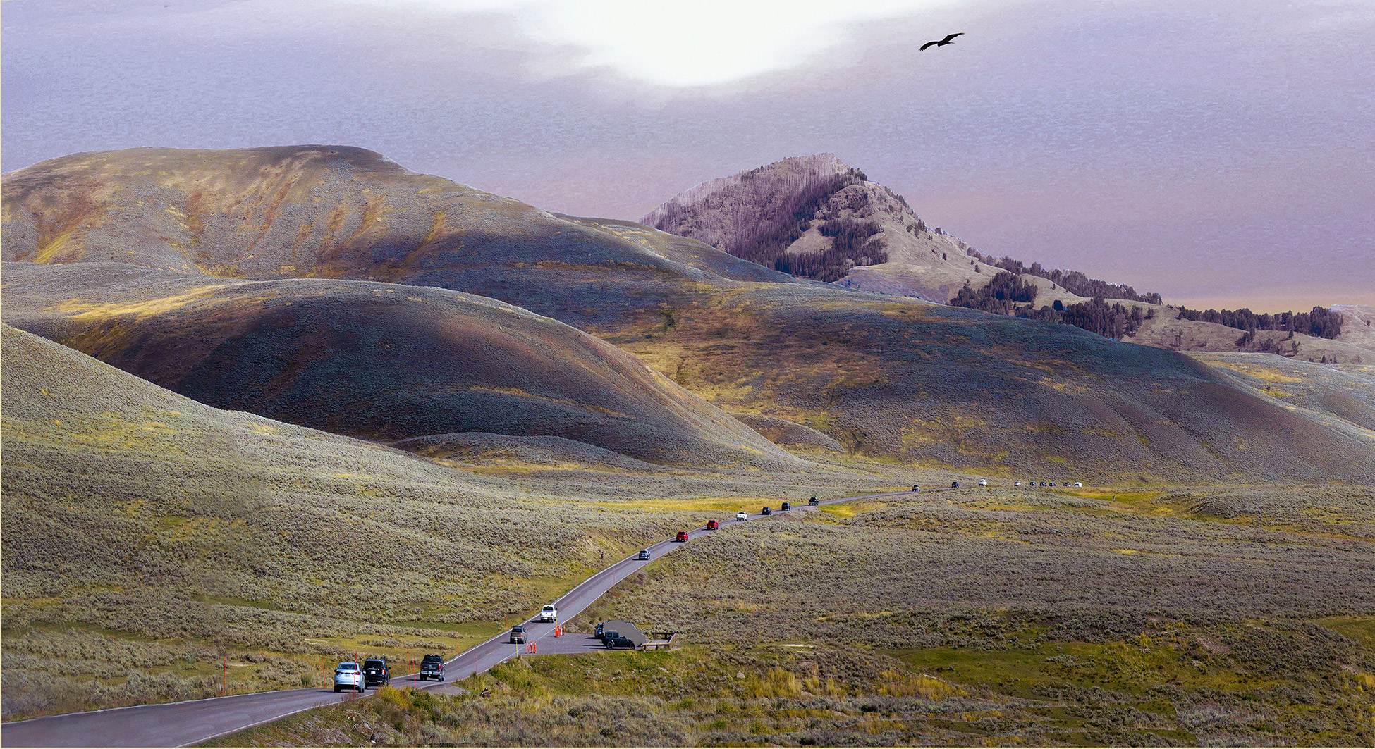 Yellowstone , Lamar valley