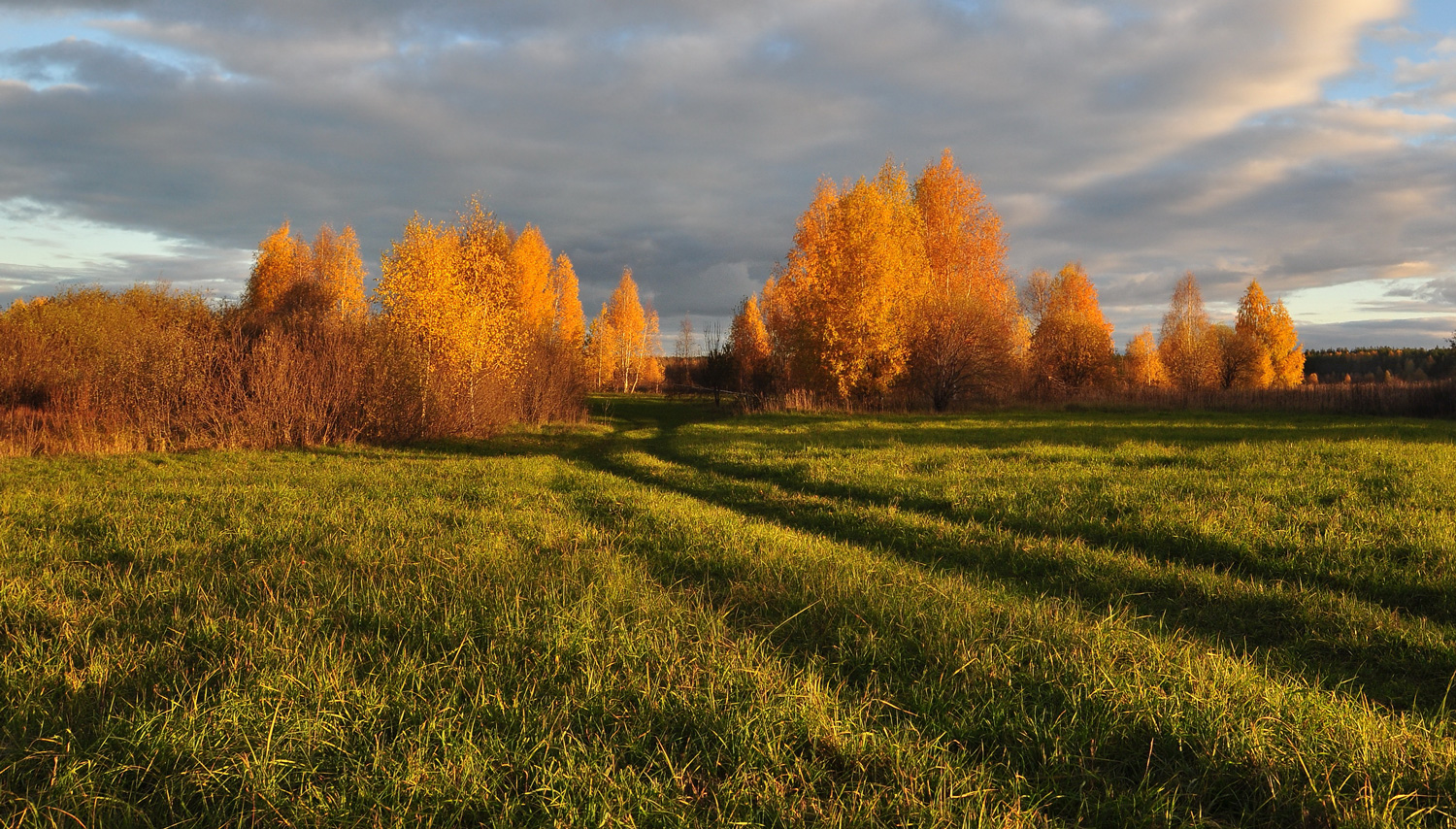 Последние краски осени