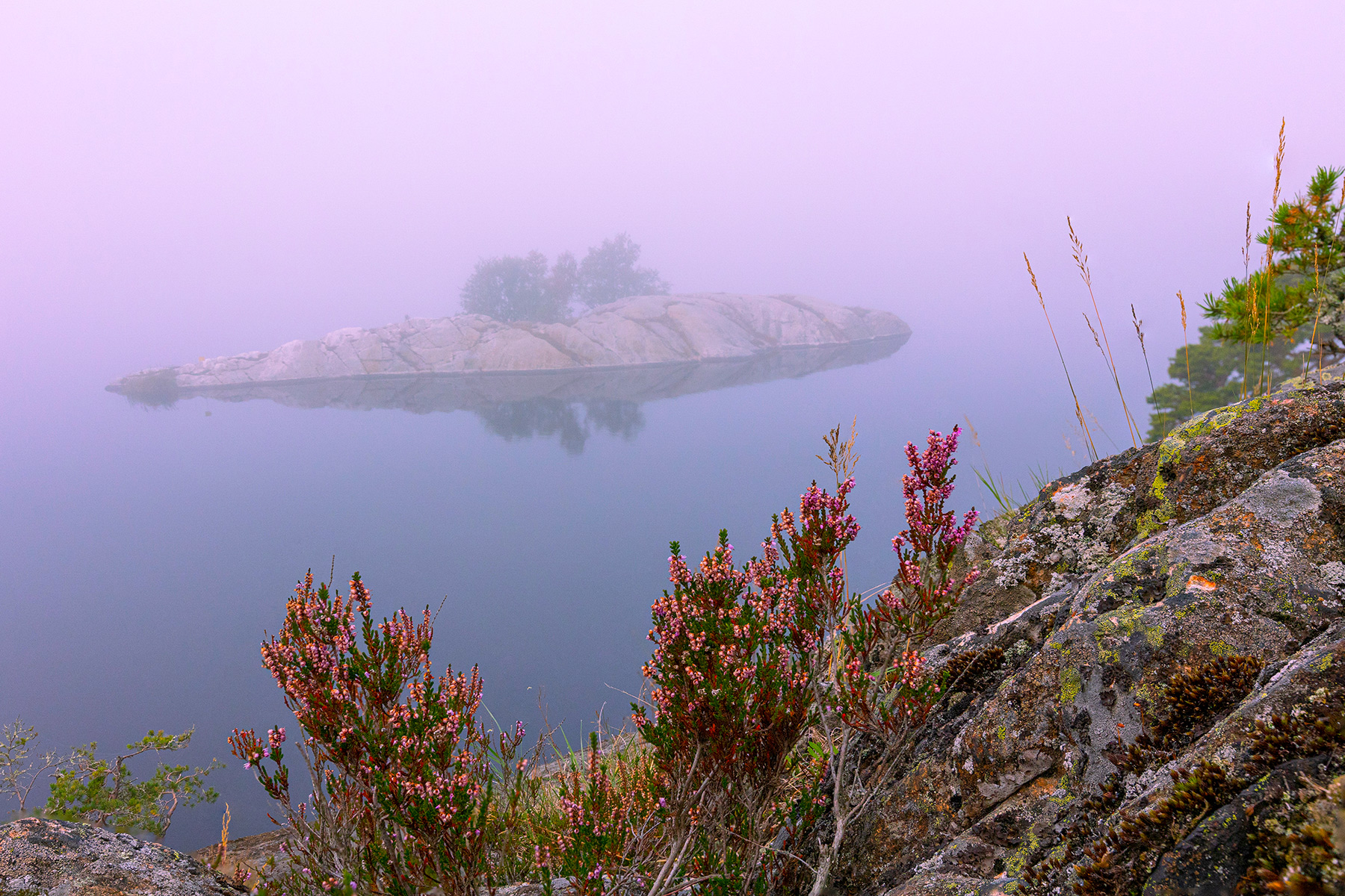 Källtorpssjön в тумане